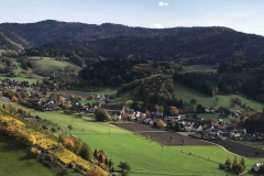 Im Weinberg Blick auf Glottertal
